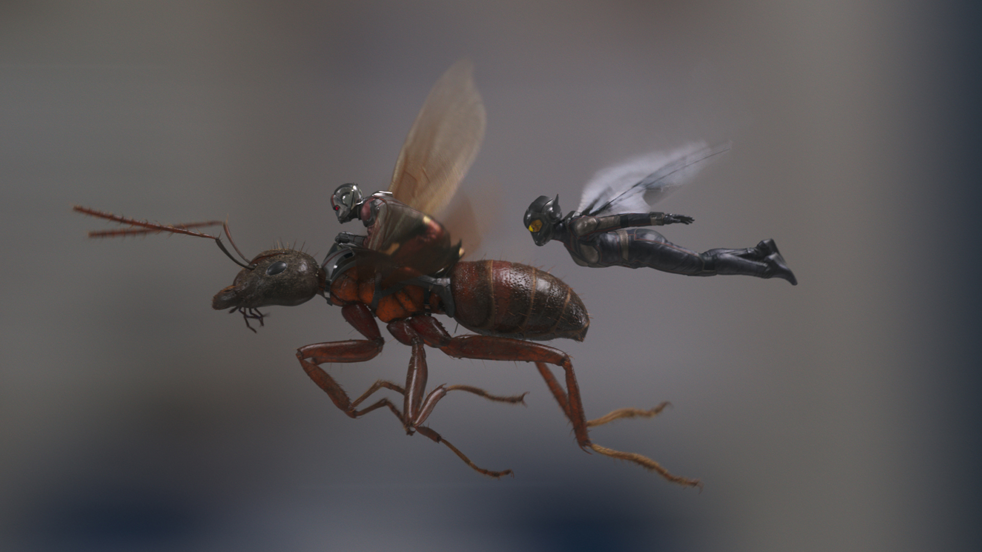 Képtalálat a következőre: „antman and the wasp blogspot.com ghost”